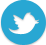 Twitter Button